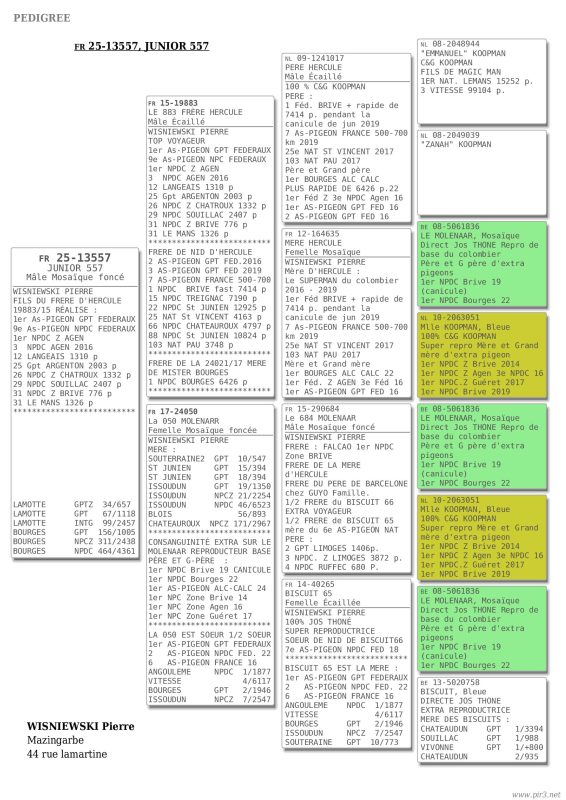 Pedigree 25 13557(2)