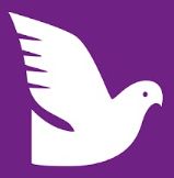 Comparatif UNIKON CHAMP+ & UNIKON.race