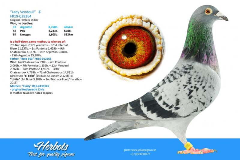 321320 ar grand mere maternelle