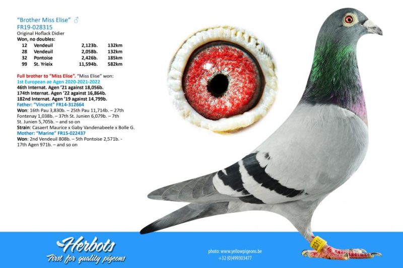 321320 ar grand pere maternelle