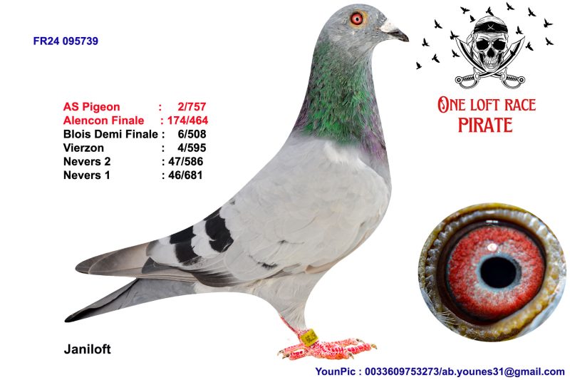 321324 oncle paternel