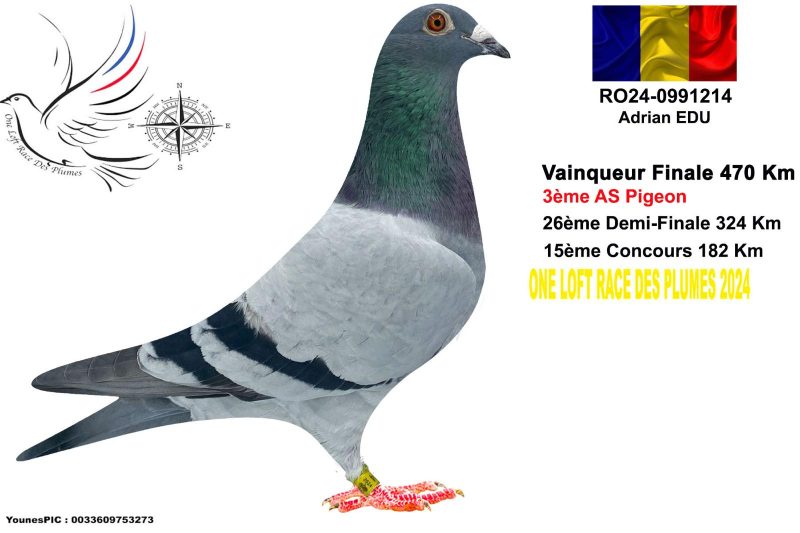 342359 onle paternel