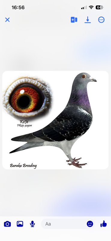 Baraka loft moufid photo