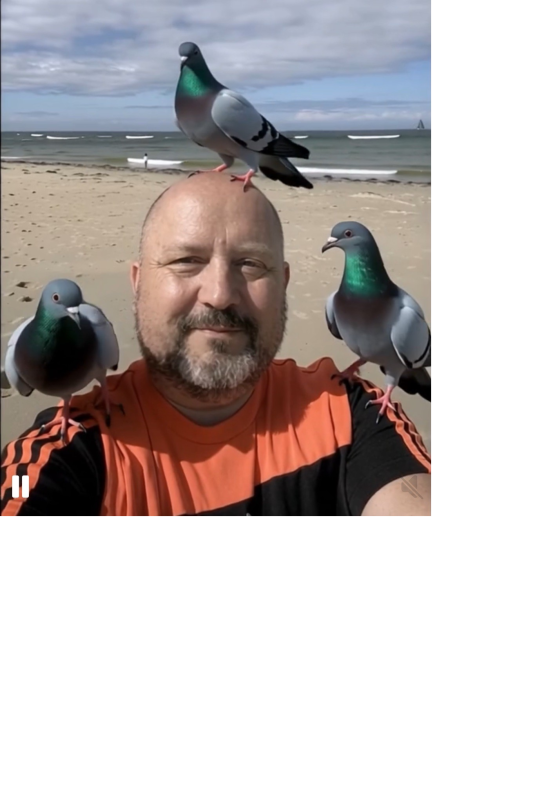 N° 17 : Jean-Pol BAUCHARD