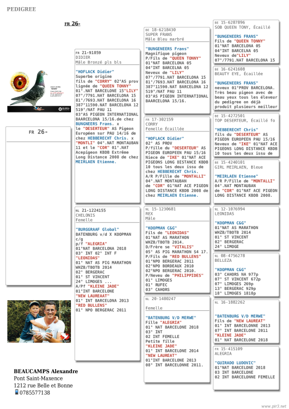 Beaucamps alexandre ped