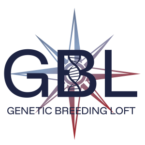 N° 5 : Team GBL – Romain Charvolin