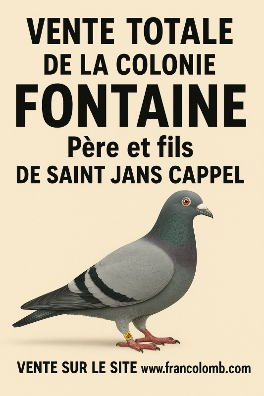 Cause décès Vente Totale de la Colonie                         FONTAINE P&F de ST JANS CAPPEL