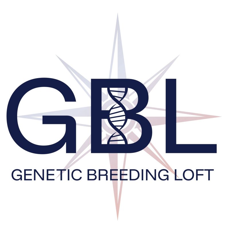 Vente : GBL – Genetic Breeding Loft