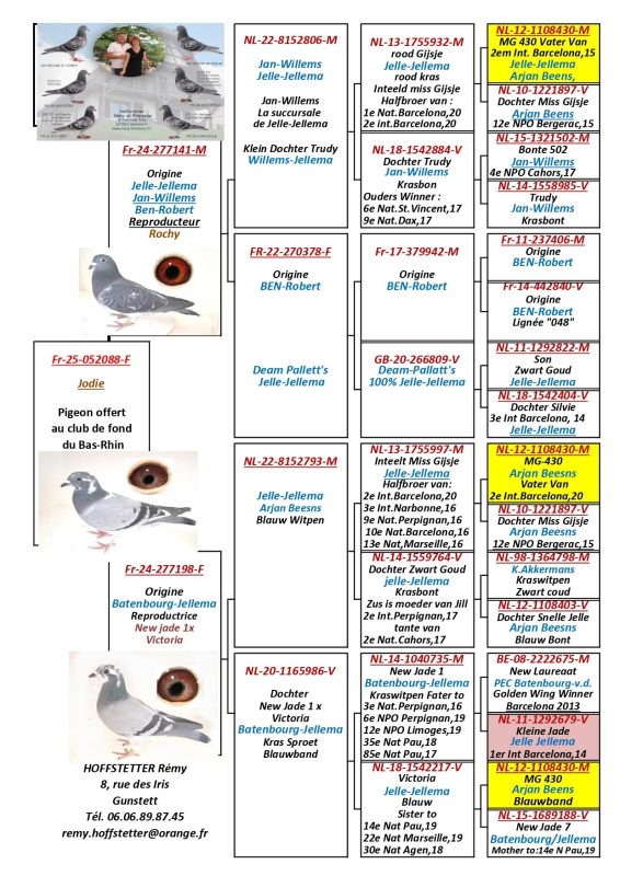 Hoffstetter jodie ped