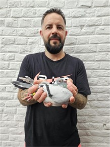 N° 6 : HOFMAN – BRASSEUR ANDY