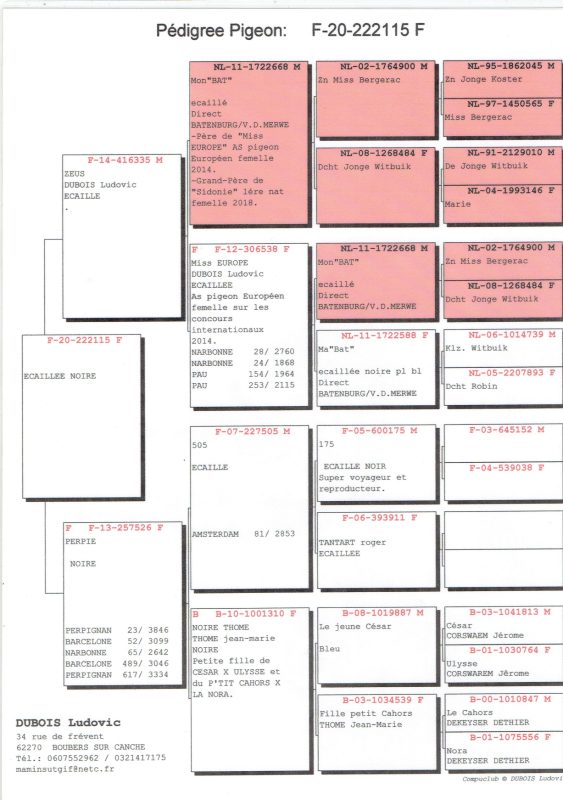 Latour pascal page 0002