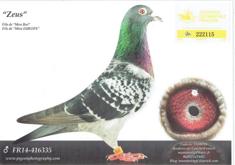 Latour pascal page 0003