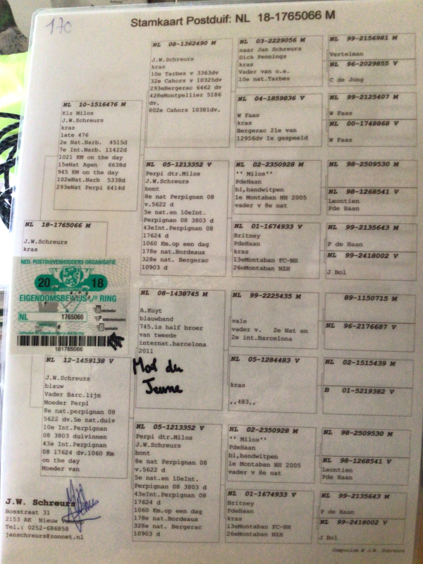 Lienard père du jeune