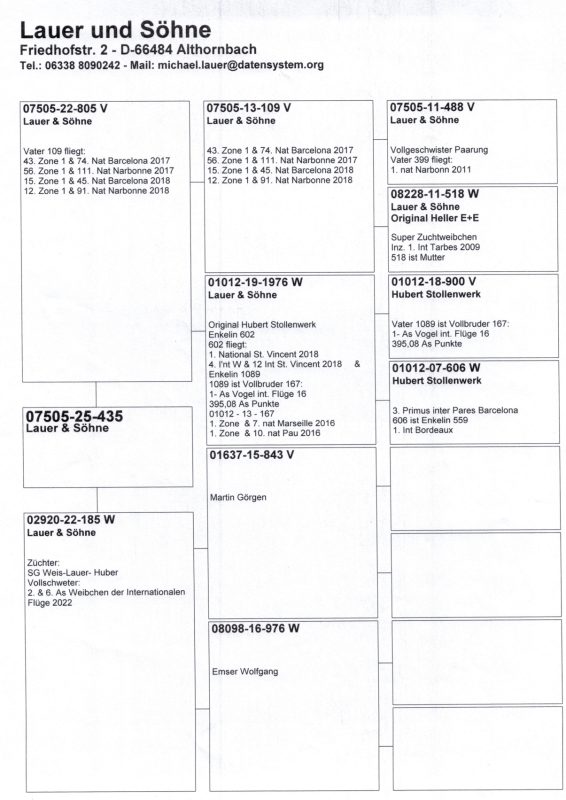 Lauer und söhne ped