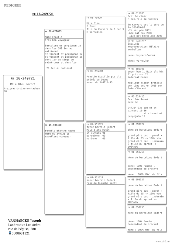 Pedigree pigeon joseph vanhaecke