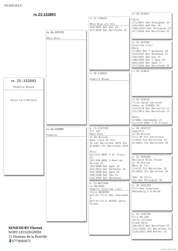 Senicourt florent ped
