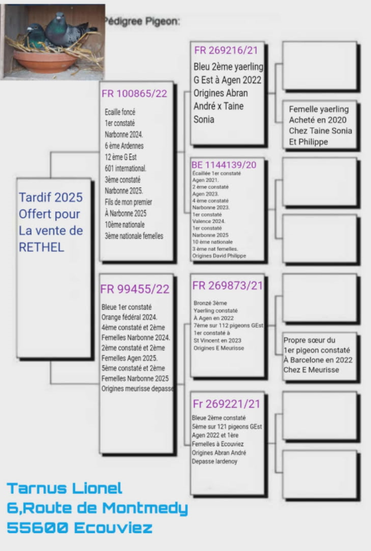 Tarnus pedigree du tardif