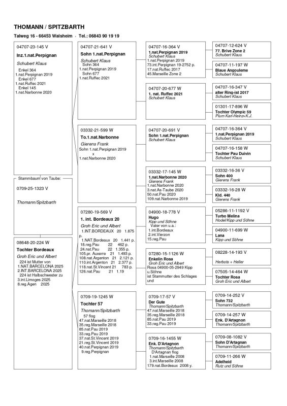 Thomann 0709 25 1323