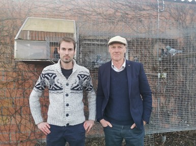 N° 42 : PETER VERRUE de SINT-DENIJS (Belgique)