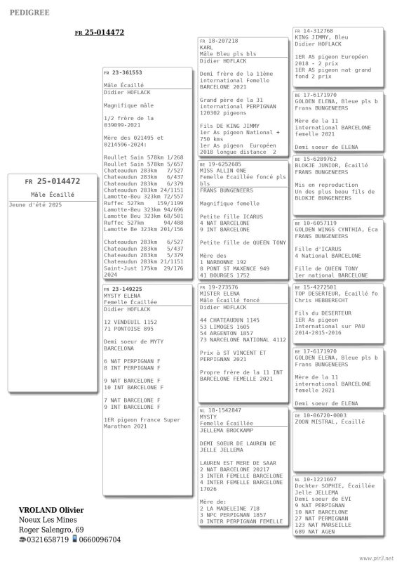 014472 2025 ped rectif