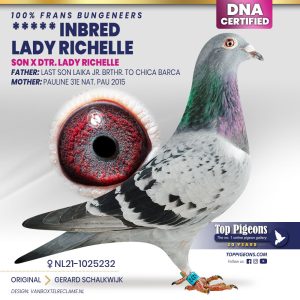 1025232 2021duiflayout gerardschalkwijk