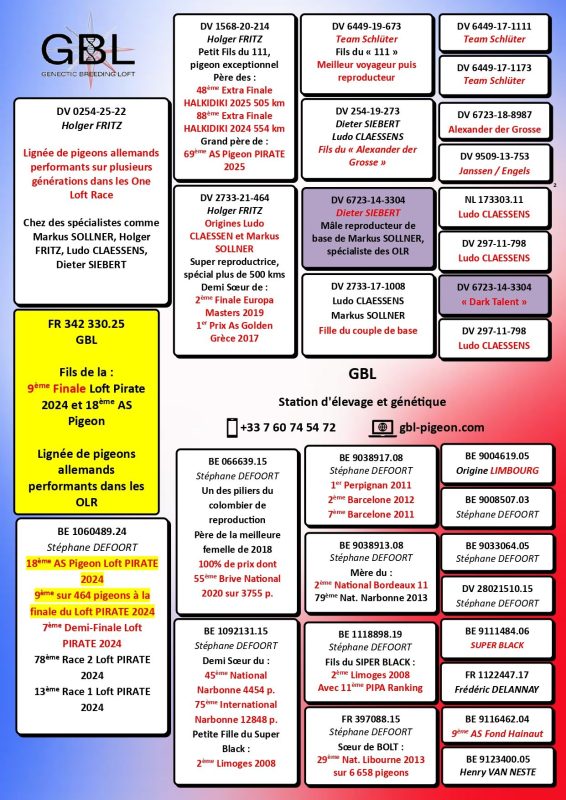 342330 holger aile cassée grizzly