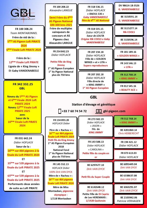 342332 308 poule deau