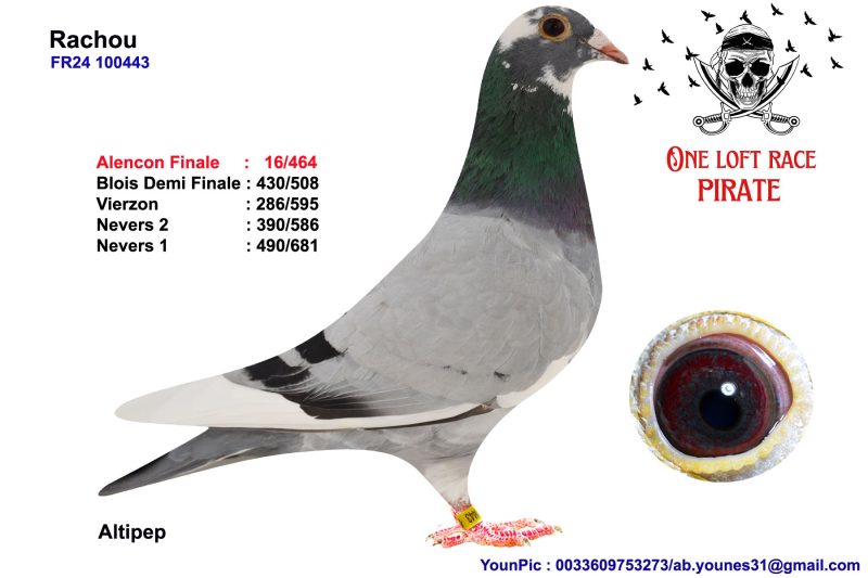 342332 tante maternelle