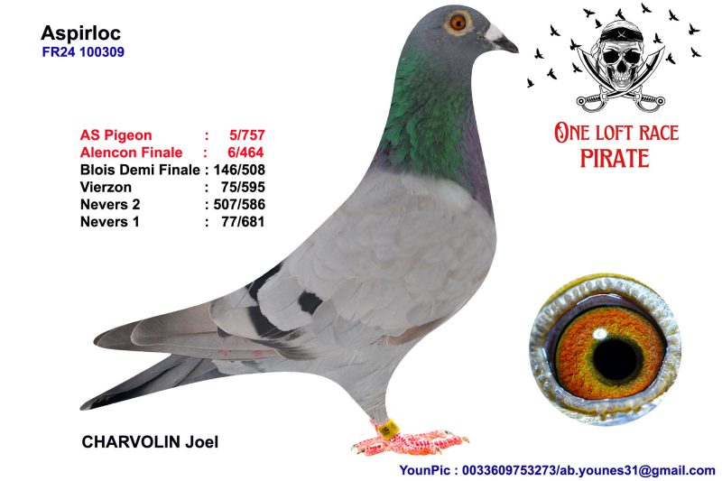 342332 tante paternelle