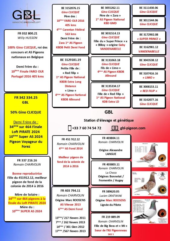 342334 gino willy mere solaire