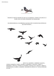 Vente de Bons : AOC AUCHEL