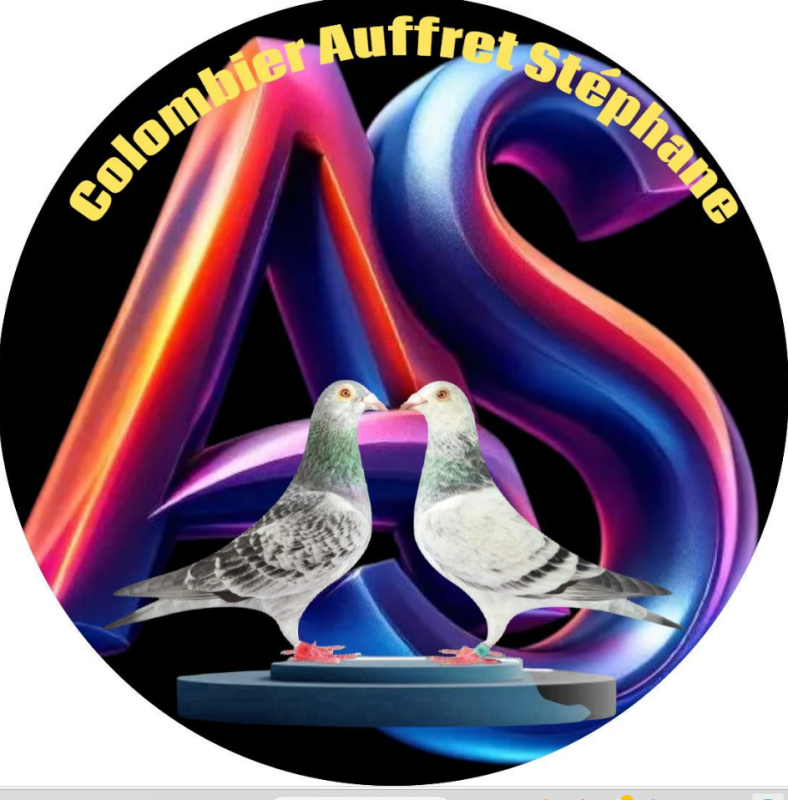 N° 26 : AUFFRET Stéphane -10e