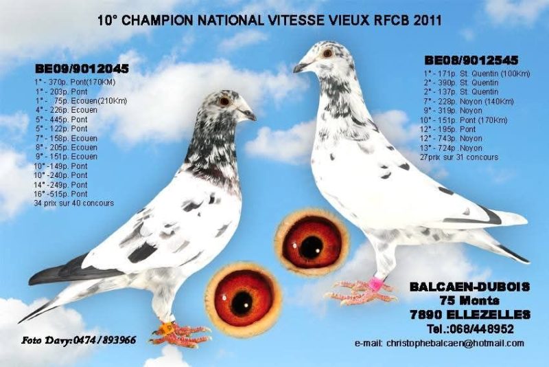 Balcaen dubois christophe