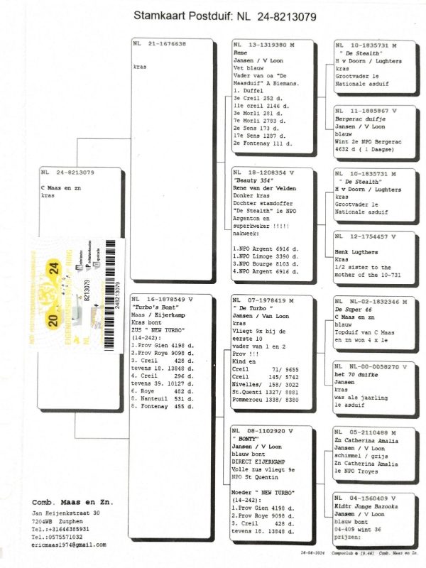 Behih pedigree mère