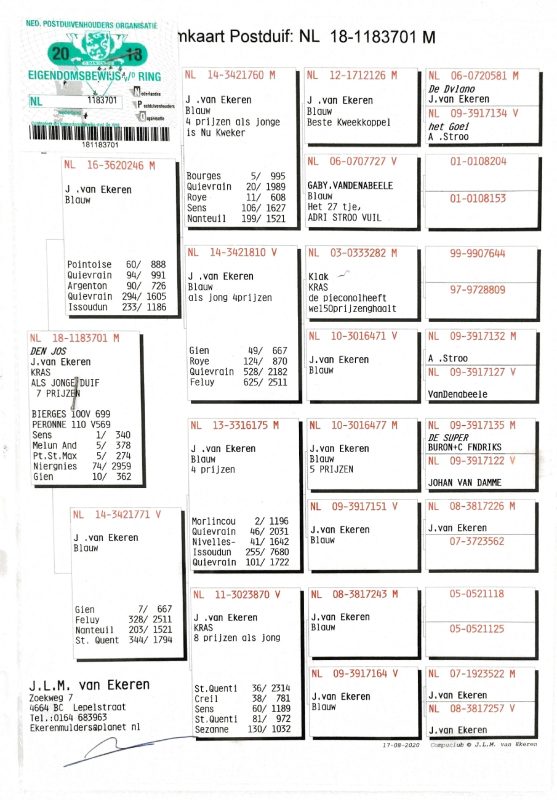 Behih pedigree père page 0001