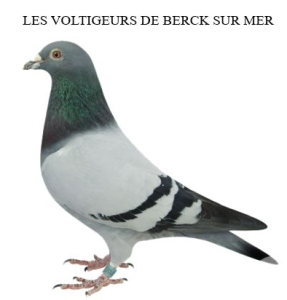 Vente de Bons : Les Voltigeurs de BERCK SUR MER