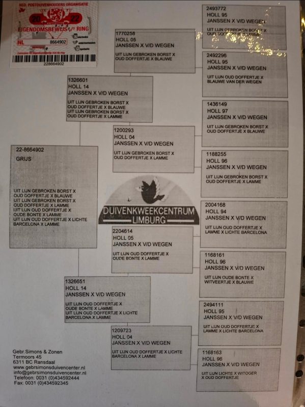 Bontant olivier ped 2