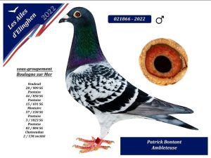 N° 1 : Patrick Bontant de Ambleteuse