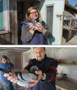 N° 31 : BRICE Jean-Christophe & DELSOL Peggy ( Ostricourt )