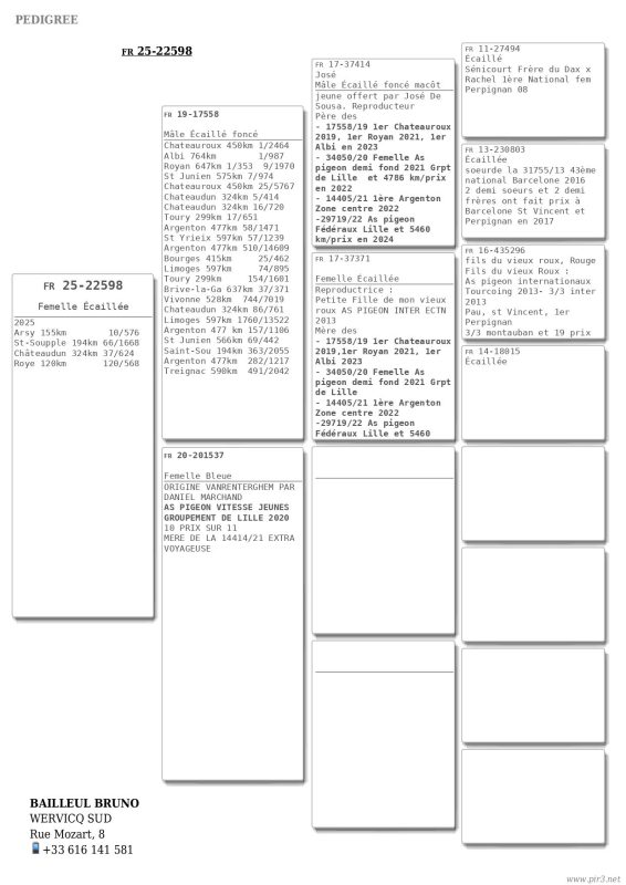 Bailleul bruno pedigree femelle fcf