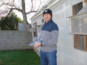 N° 2 : Cedric Bajot