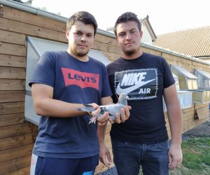 N° 22 : BERNARD Frères de Guesnain