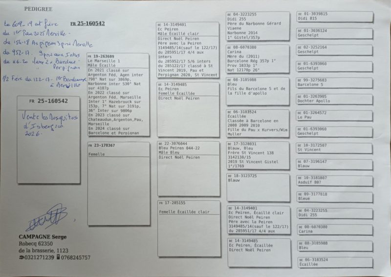 Campagne serge isbergues