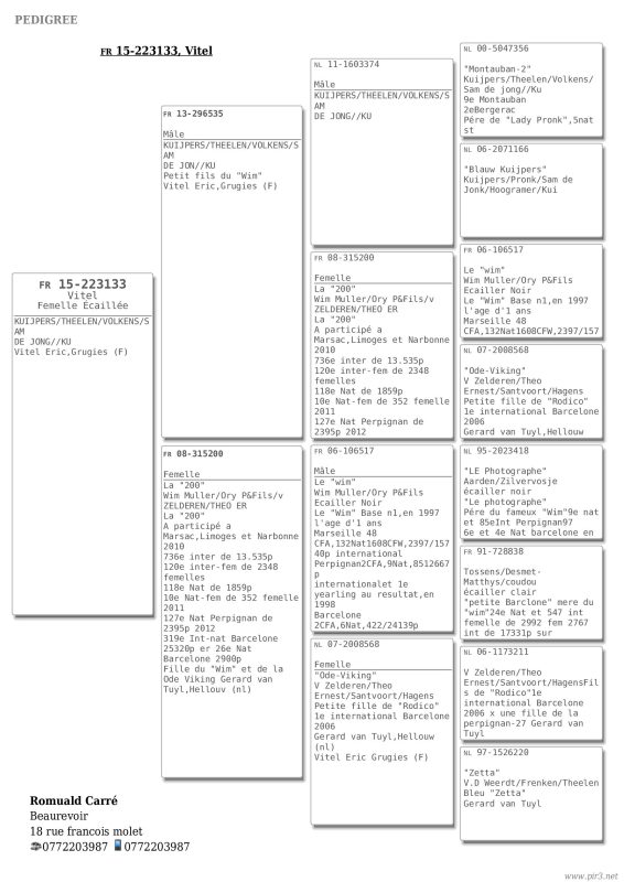 Carre pedigree de la mère