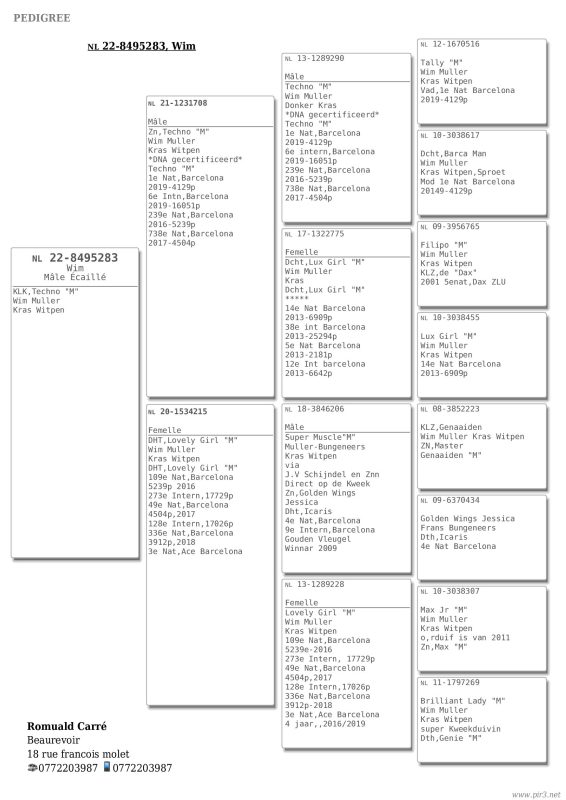 Carre pedigree de la père
