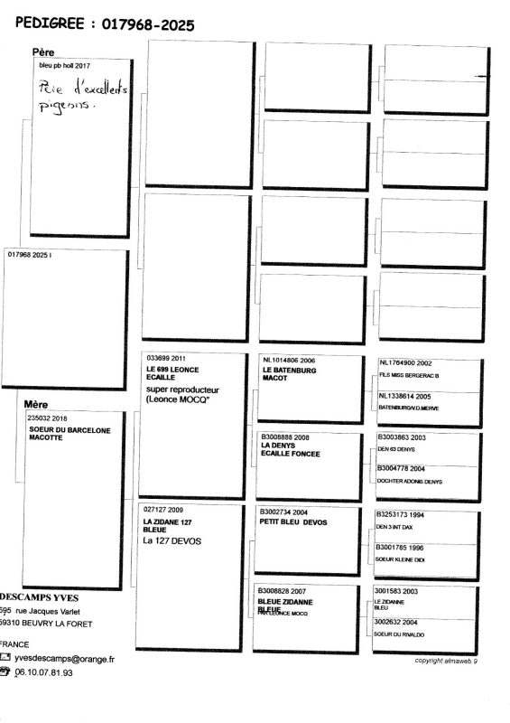 Descamps yves marchiennes