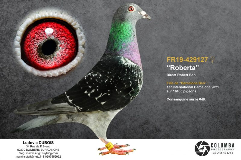 Dubois l fr19 429127 blanktxtprint