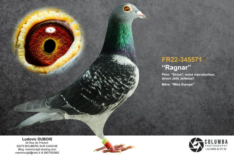 Dubois l fr22 345571 blanktxtprint