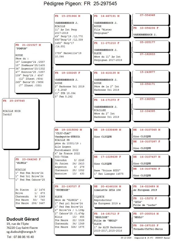 Dudouit pedigree 25 297545 vente fcf (002)