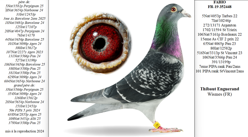 Enguerand 352448 fr19